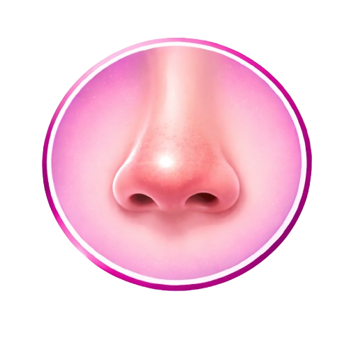 Nasal Allergy